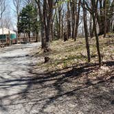 Review photo of Hickory Ridge Campground — Grayson Highlands State Park by Jean C., June 1, 2021