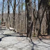 Review photo of Hickory Ridge Campground — Grayson Highlands State Park by Jean C., June 1, 2021