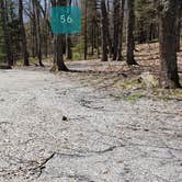 Review photo of Hickory Ridge Campground — Grayson Highlands State Park by Jean C., June 1, 2021