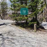 Review photo of Hickory Ridge Campground — Grayson Highlands State Park by Jean C., June 1, 2021