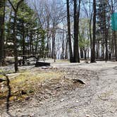 Review photo of Hickory Ridge Campground — Grayson Highlands State Park by Jean C., June 1, 2021