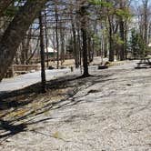 Review photo of Hickory Ridge Campground — Grayson Highlands State Park by Jean C., June 1, 2021