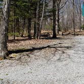 Review photo of Hickory Ridge Campground — Grayson Highlands State Park by Jean C., June 1, 2021