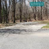 Review photo of Hickory Ridge Campground — Grayson Highlands State Park by Jean C., June 1, 2021