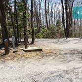 Review photo of Hickory Ridge Campground — Grayson Highlands State Park by Jean C., June 1, 2021