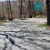 Review photo of Hickory Ridge Campground — Grayson Highlands State Park by Jean C., June 1, 2021