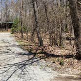 Review photo of Hickory Ridge Campground — Grayson Highlands State Park by Jean C., June 1, 2021