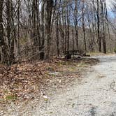 Review photo of Hickory Ridge Campground — Grayson Highlands State Park by Jean C., June 1, 2021