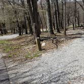 Review photo of Hickory Ridge Campground — Grayson Highlands State Park by Jean C., June 1, 2021