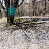 Review photo of Hickory Ridge Campground — Grayson Highlands State Park by Jean C., June 1, 2021