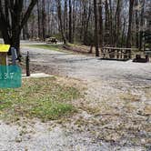 Review photo of Hickory Ridge Campground — Grayson Highlands State Park by Jean C., June 1, 2021