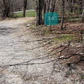 Review photo of Hickory Ridge Campground — Grayson Highlands State Park by Jean C., June 1, 2021