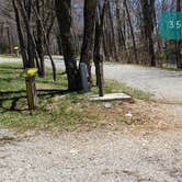 Review photo of Hickory Ridge Campground — Grayson Highlands State Park by Jean C., June 1, 2021