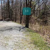 Review photo of Hickory Ridge Campground — Grayson Highlands State Park by Jean C., June 1, 2021