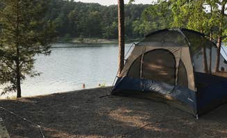 Erika R.'s photo at Washita Primitive Camping Area near Oden, AR