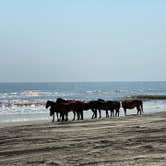 Review photo of OBX Campground by Amy E., June 1, 2021