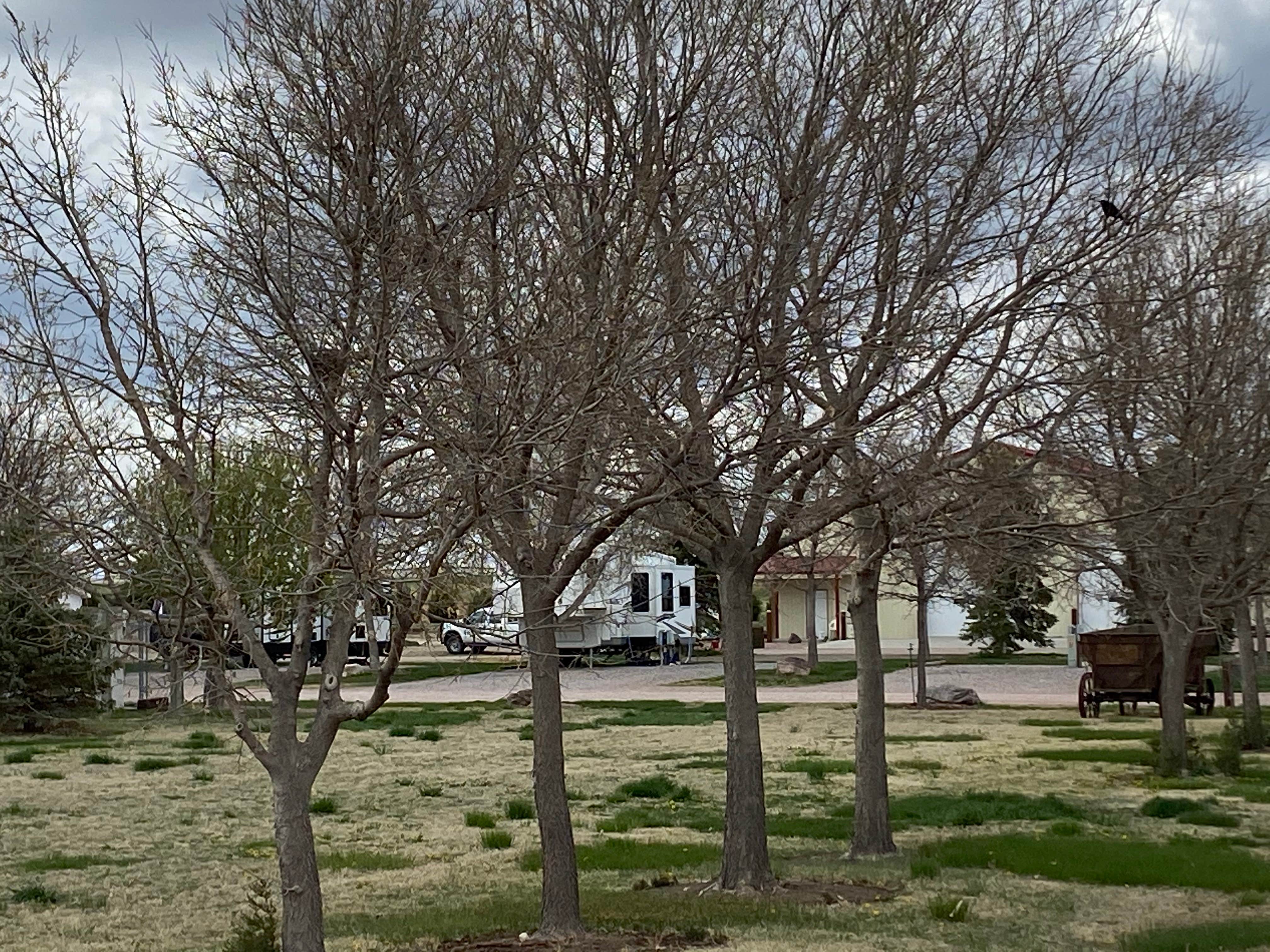 Camper-submitted photo at J & C RV Park near Nebraska National Forests and Grasslands