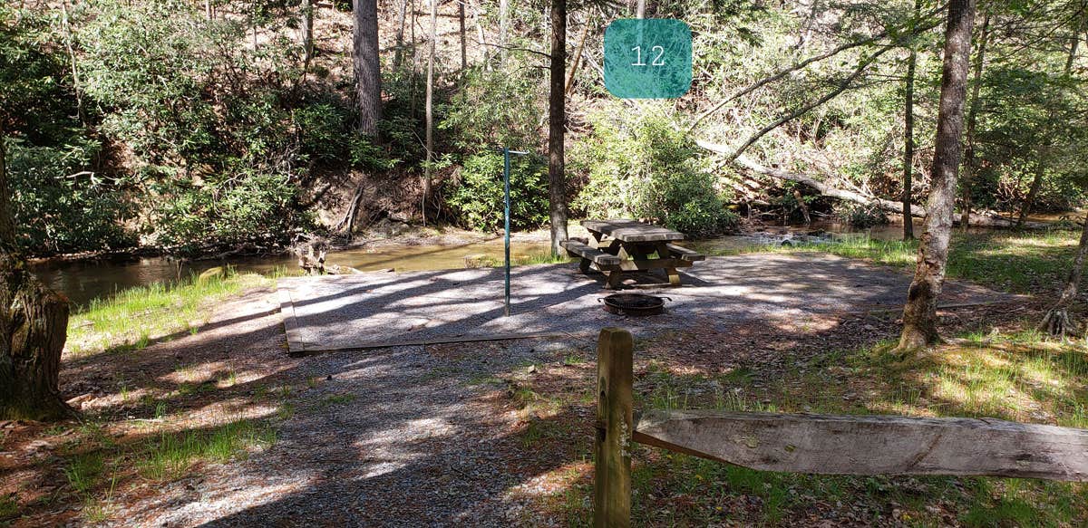 Jean C.'s photo of camping with pets at Hurricane Campground near Troutdale, VA