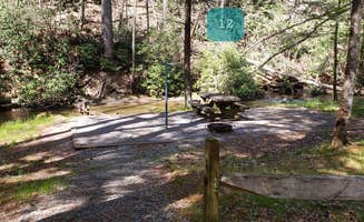 Jean C.'s photo of camping with pets at Hurricane Campground near Mouth of Wilson, VA