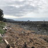 Review photo of Wedding Rocks — Olympic National Park by Thomas B., June 1, 2021