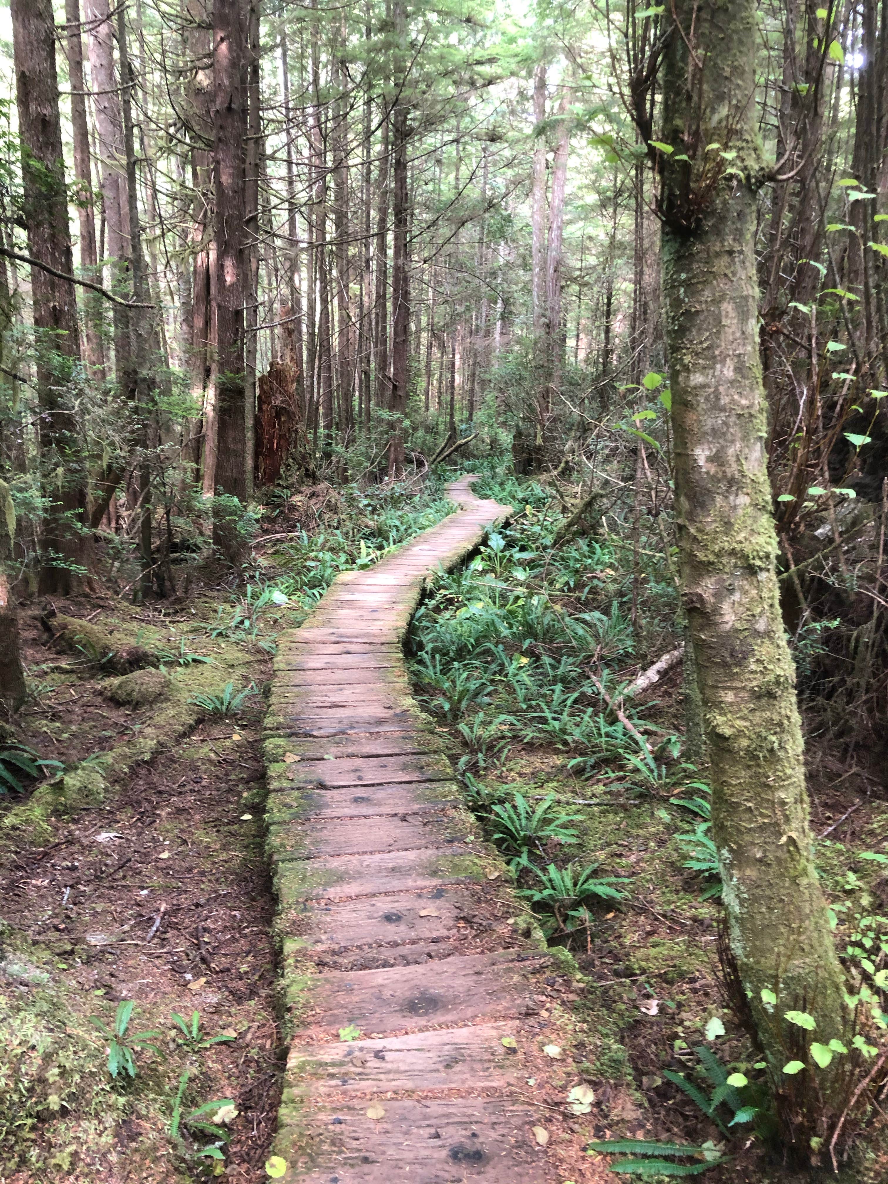 Camper submitted image from Wedding Rocks — Olympic National Park - 4