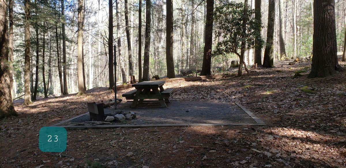 Jean C.'s photo at Hurricane Campground near Atkins, VA