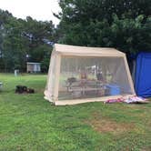 Review photo of Kiptopeke State Park Campground by Susan P., June 6, 2018