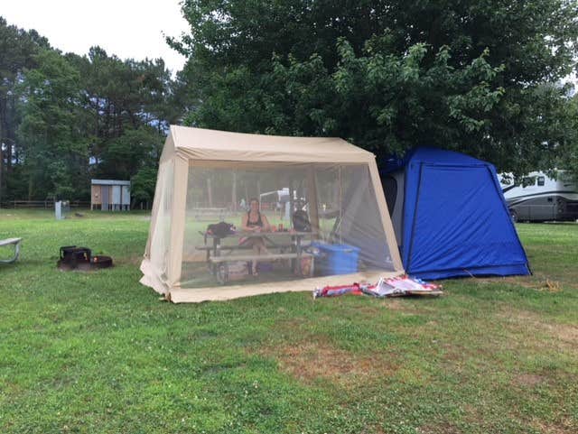 Camper submitted image from Kiptopeke State Park Campground - 4