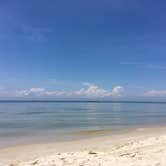 Review photo of Kiptopeke State Park Campground by Susan P., June 6, 2018