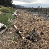 Review photo of Wedding Rocks — Olympic National Park by Thomas B., June 1, 2021