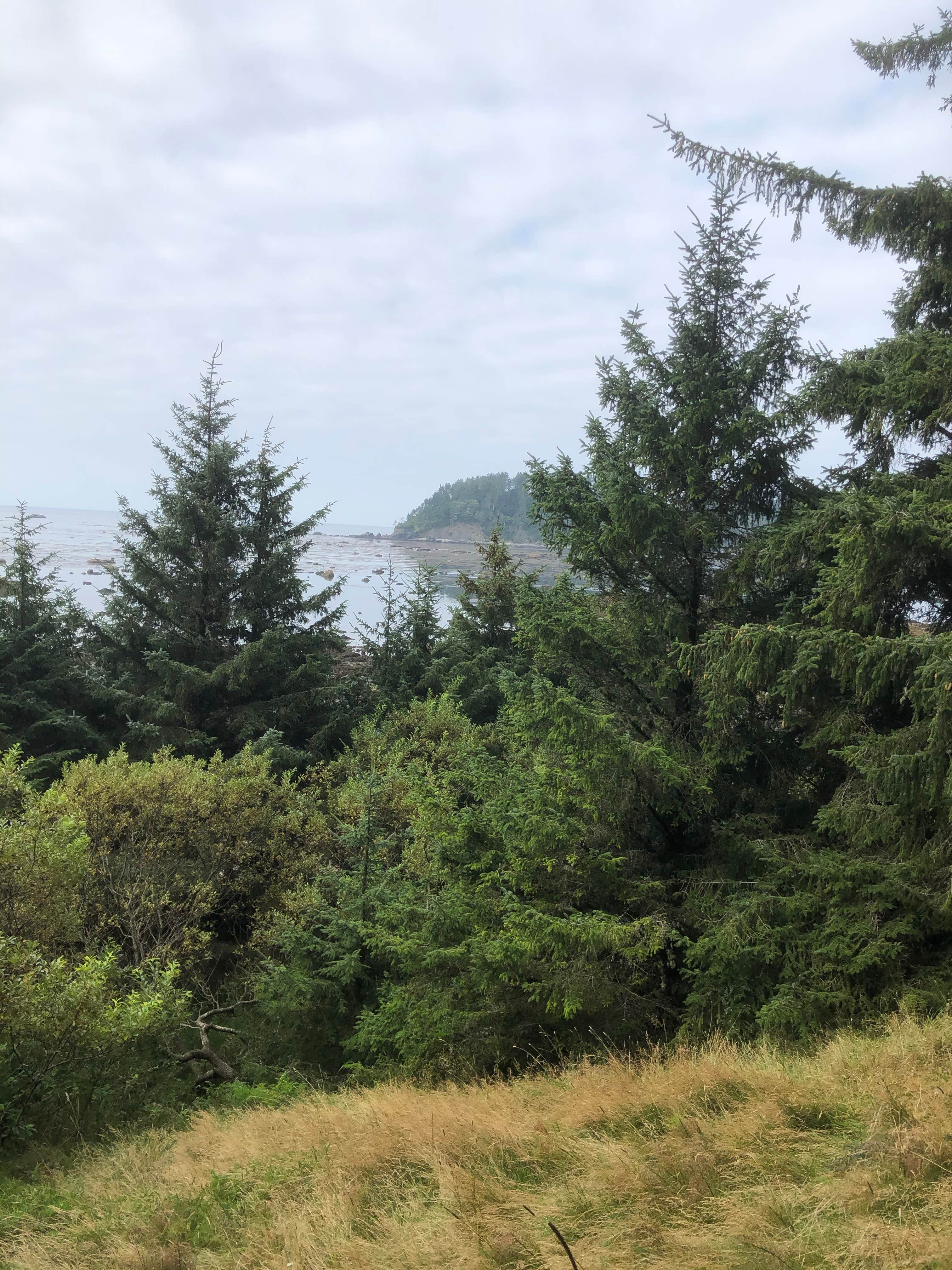 View All