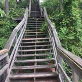 Review photo of Kiptopeke State Park Campground by Susan P., June 6, 2018