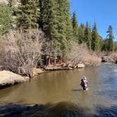 Review photo of Spruce Grove Campground by Aaron M., June 1, 2021