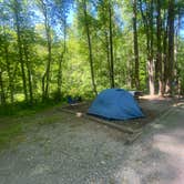 Review photo of Grandview Sandbar Campground — New River Gorge National Park and Preserve by Anna S., June 1, 2021