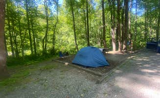 Anna S.'s photo at Grandview Sandbar Campground — New River Gorge National Park and Preserve near Danese, WV