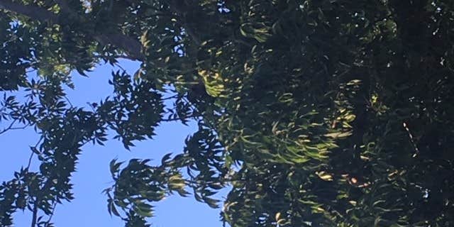 Camper submitted image from Matsell Bridge Natural Area