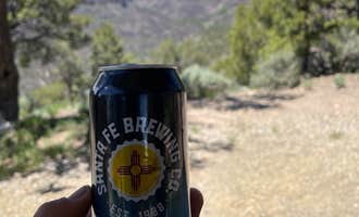 Camping near El Aguaje Campground: Big Arsenic Springs Campground, Questa, New Mexico