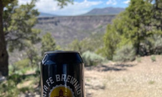 Camping near Chiflo Campground: Big Arsenic Springs Campground, Questa, New Mexico