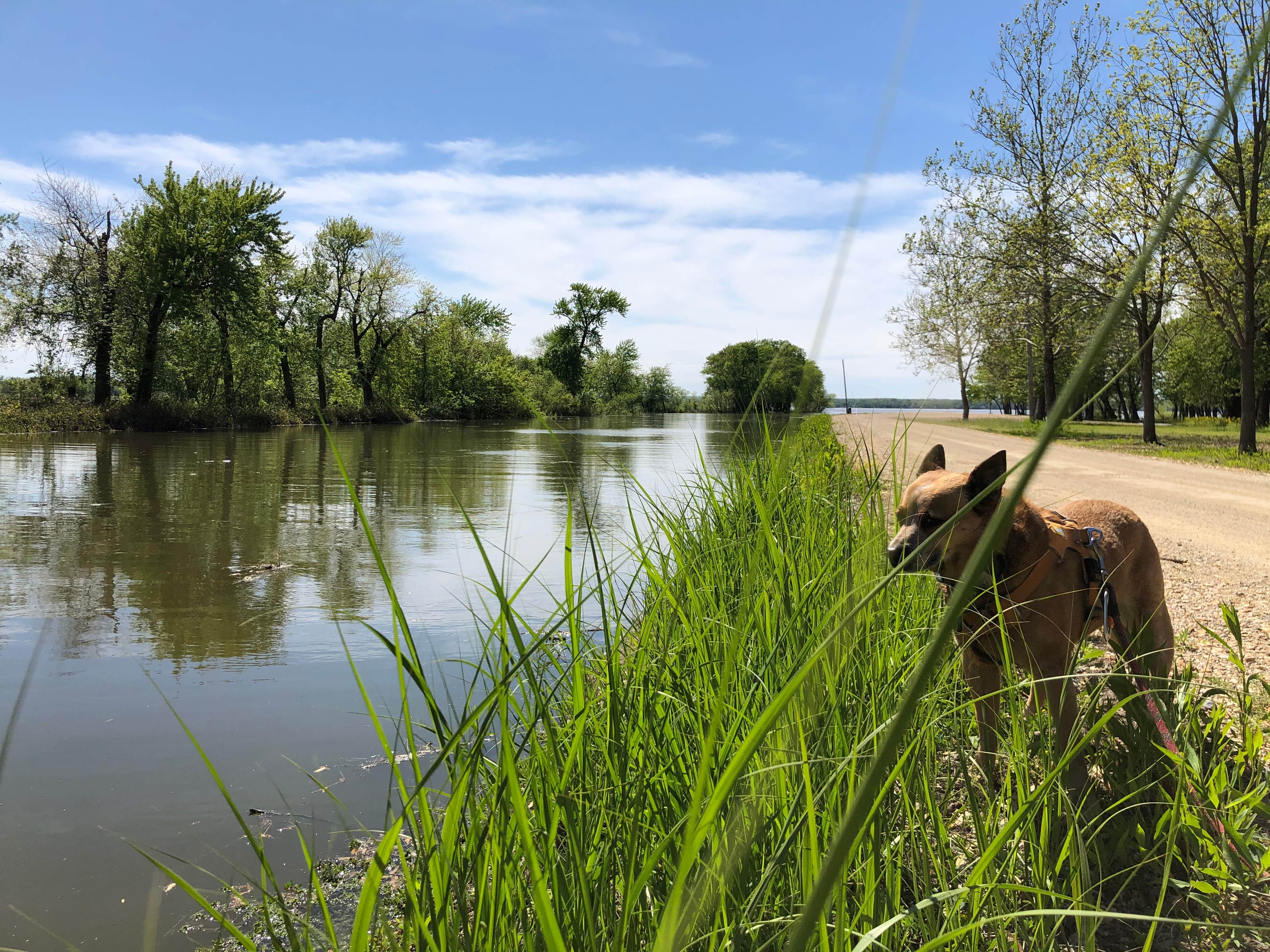 Camper-submitted photo at Woodford State Conservation Area near Mapleton, IL