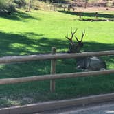 Review photo of Fruita Campground — Capitol Reef National Park by David R., June 1, 2021