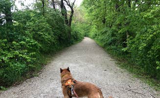 Art S.'s photo of camping with pets at Channahon State Park Campground near Eola, IL