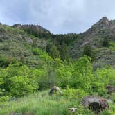 Review photo of Green Canyon Dispersed Campground by Kristen P., June 1, 2021