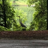Review photo of Mckinney Campground by Susan H., June 6, 2018