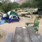 Review photo of South Campground — Zion National Park by David R., June 1, 2021