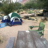 Review photo of South Campground — Zion National Park by David R., June 1, 2021