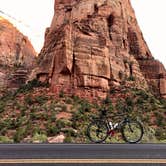 Review photo of South Campground — Zion National Park by David R., June 1, 2021