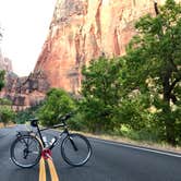 Review photo of South Campground — Zion National Park by David R., June 1, 2021