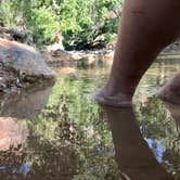 Review photo of South Campground — Zion National Park by David R., June 1, 2021