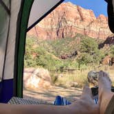 Review photo of South Campground — Zion National Park by David R., June 1, 2021