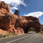 Review photo of South Campground — Zion National Park by David R., June 1, 2021